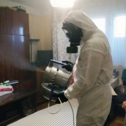Дезинфекция от клопов в Любани